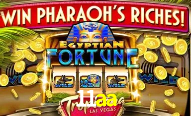 Especiais de Fim de Semana 11aa